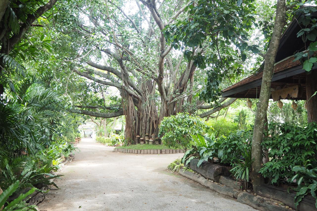 Khum Khun Wang Resort Mae Wang Εξωτερικό φωτογραφία
